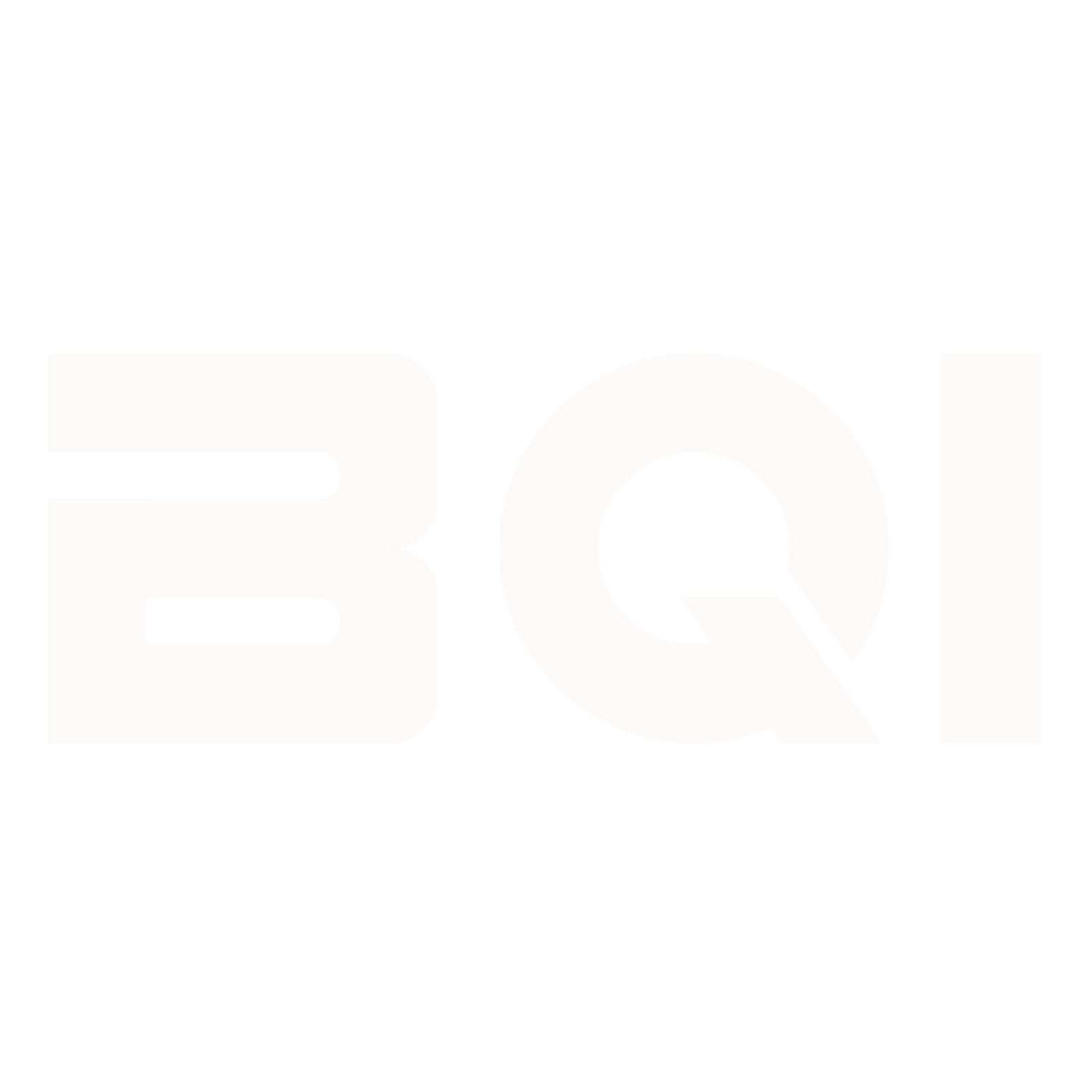 BQI ELECTRIC